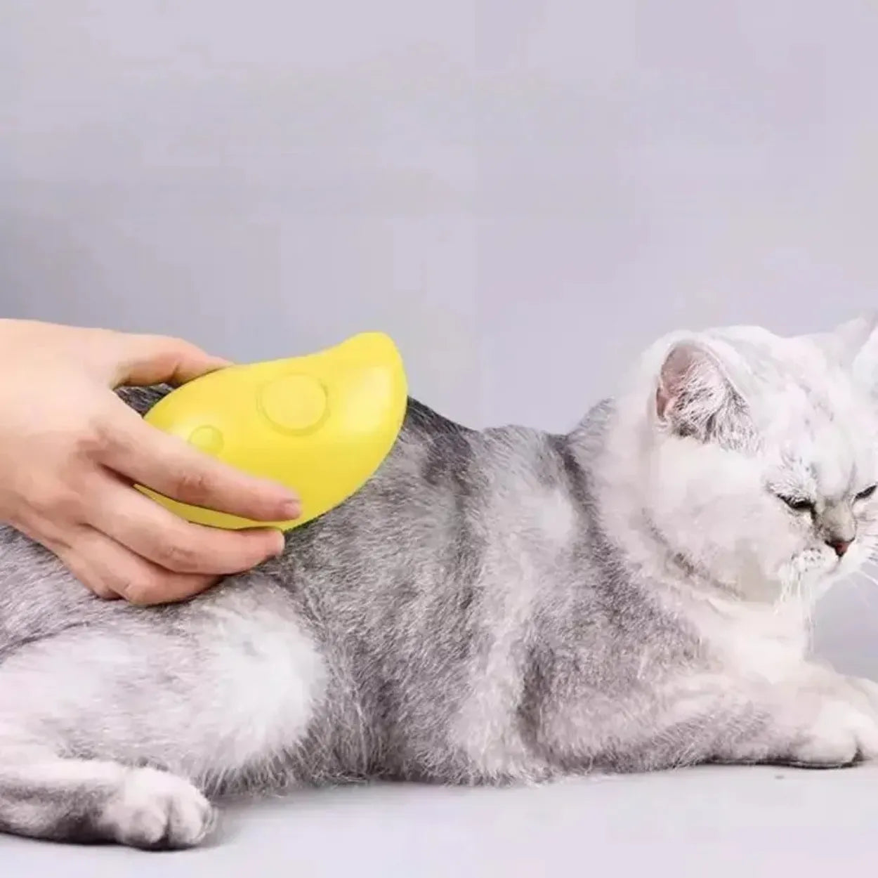 Pet Brush 2.0 - Cepillo Vaporizador