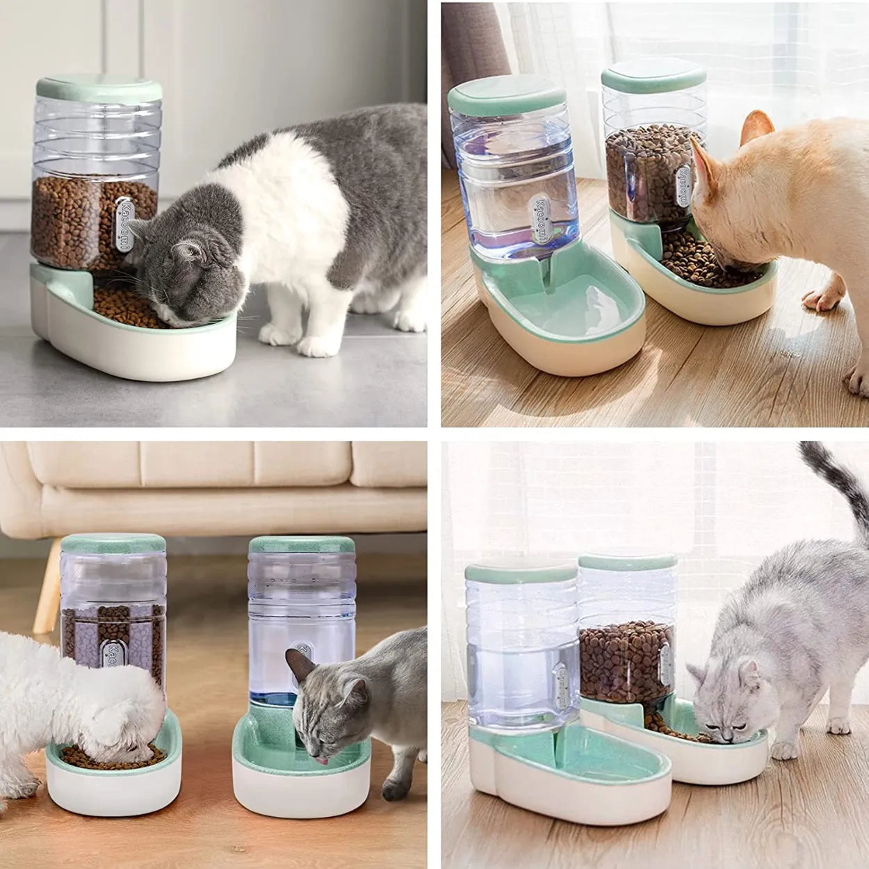 Kaco - Dispensador Automático de Agua y Comida para Gatos - 1 Unidad